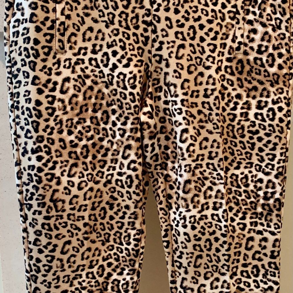 The Juliet Slim Leg Ankle Pants
